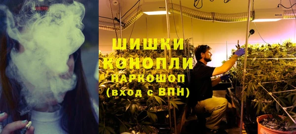 ПСИЛОЦИБИНОВЫЕ ГРИБЫ Белоозёрский